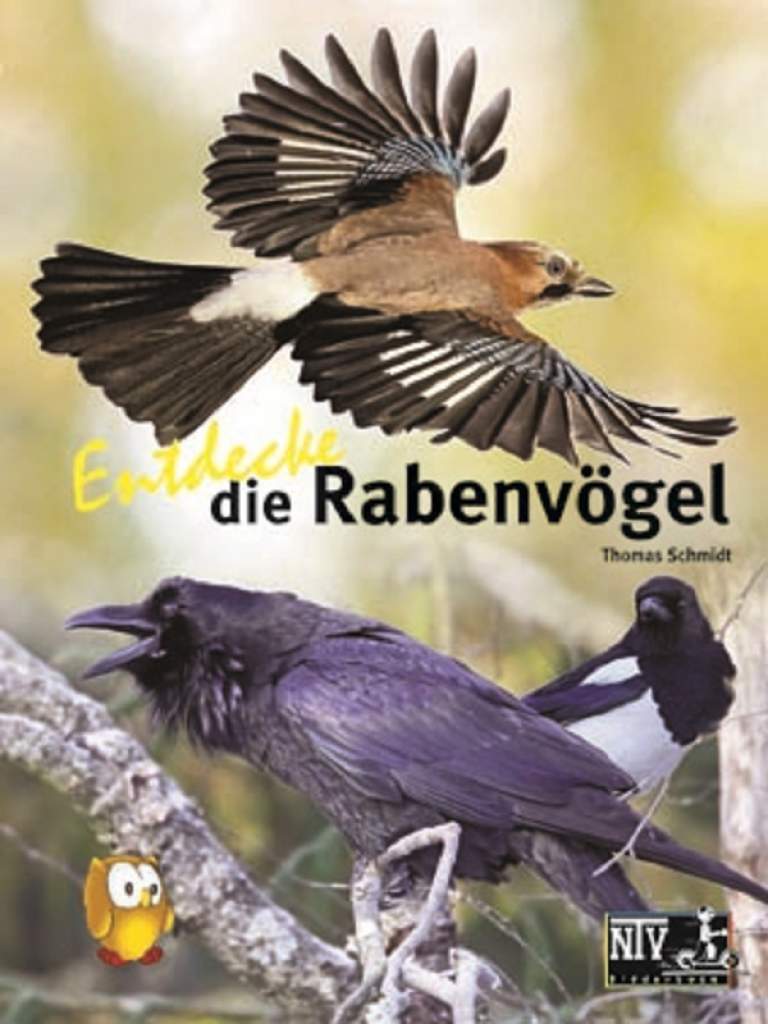 Entdecke die Rabenvögel